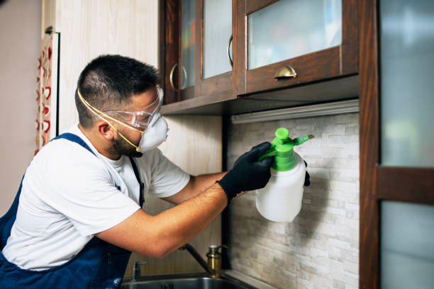 Best Emergency Pest Control  in Newport, WA