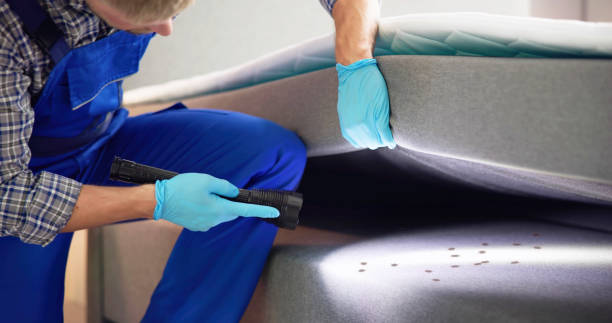 Best Mosquito Control Services  in Newport, WA